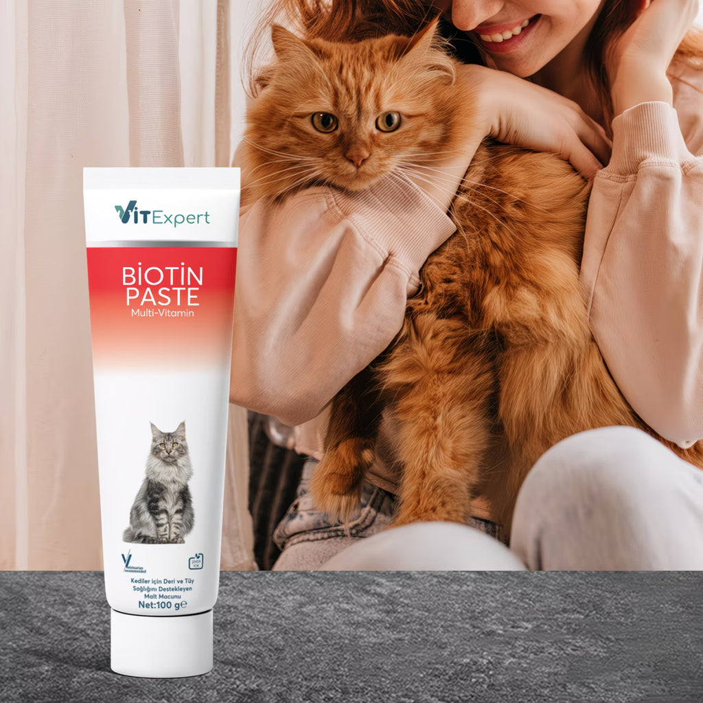 Biotin Kedi Malt Macunu