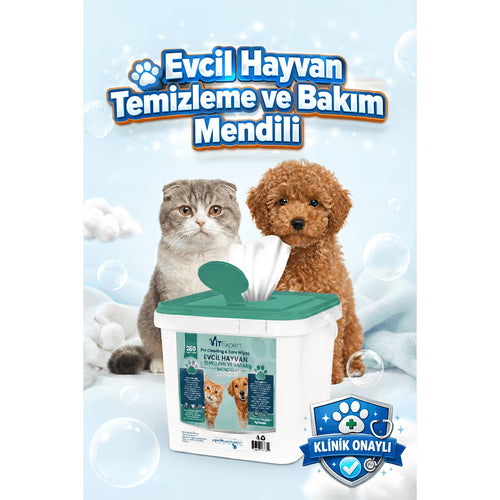 Evcil Hayvan Pati Tüy Kulak Göz Temizleme Ve Bakım Kedi Köpek Islak Mendil 250 Adet
