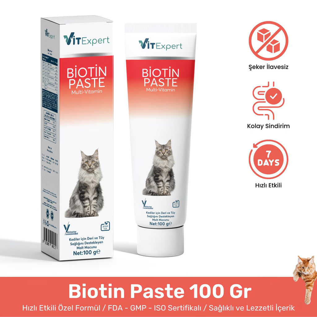 Biotin Kedi Malt Macunu