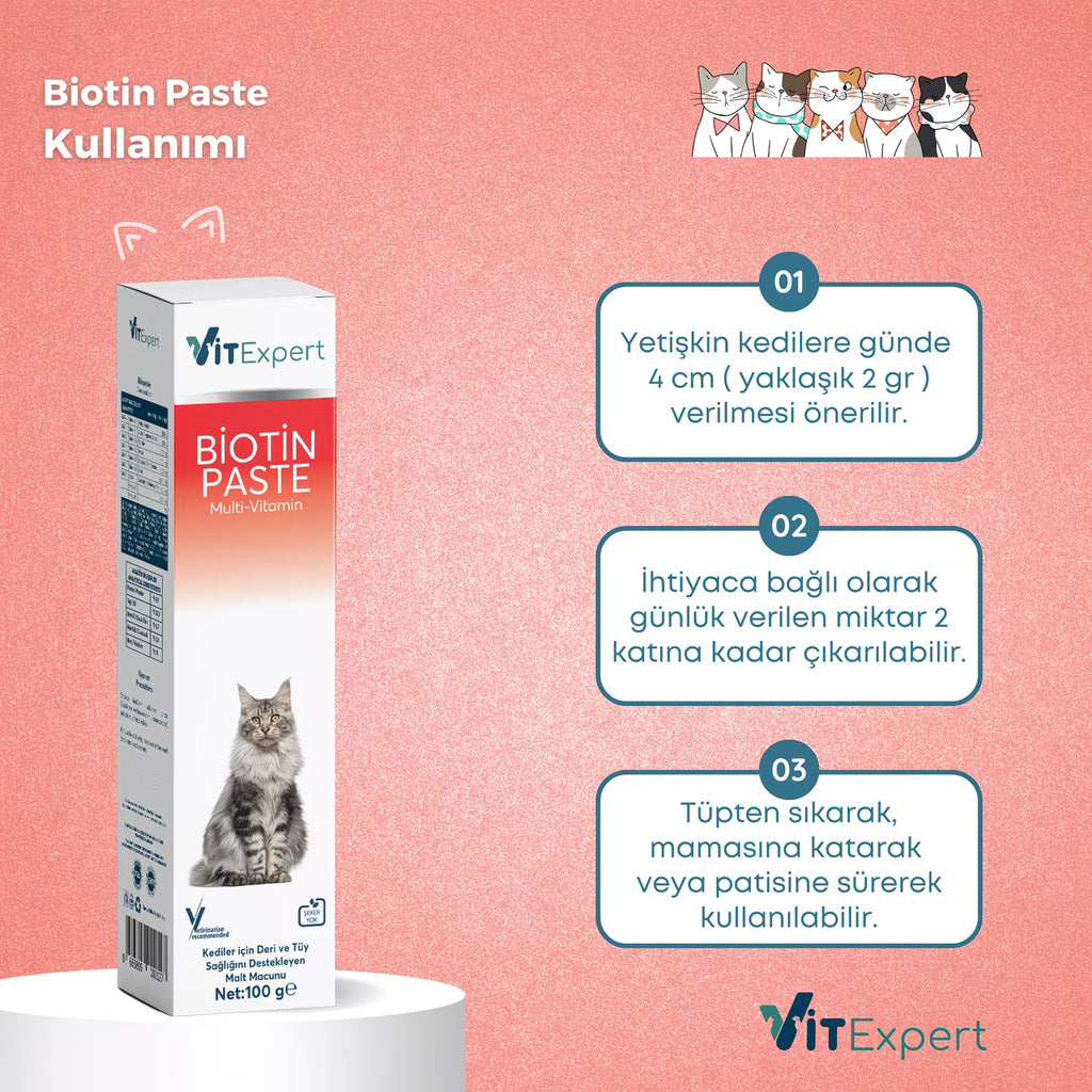 Biotin Kedi Malt Macunu